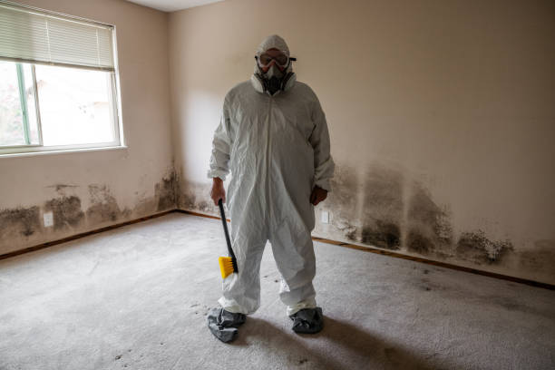 Best Mold Remediation for Healthcare Facilities  in Sachse, TX